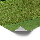 Bahai Gardens in Haifa, Israël Poster (Hoek)