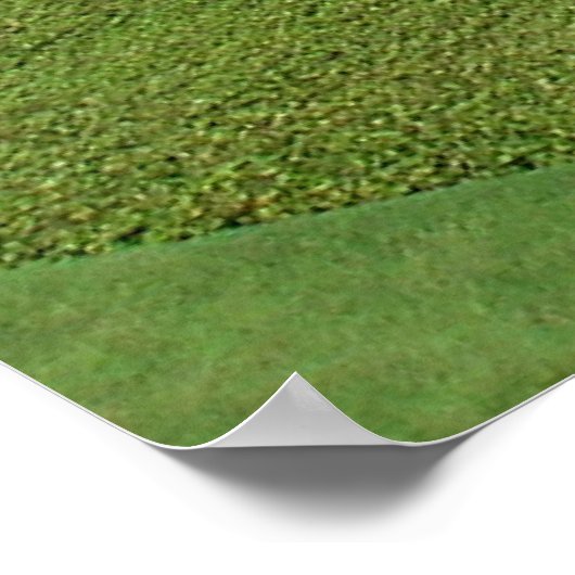 Bahai-tuinen in Haifa, Israël Poster (Hoek)