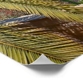 Bahá'í-tuinen van Haifa Poster (Hoek)