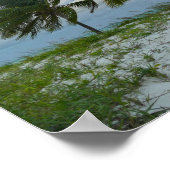 Bahama Bries bij zonsondergang, Treasure Cay Poster (Hoek)