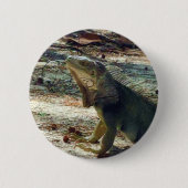 Bahama Iguana Button (Voorkant)