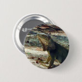 Bahama Iguana Button (Voorkant /achterkant)