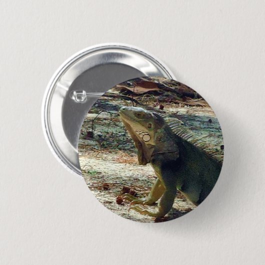 Bahama Iguana Button (Voorkant /achterkant)
