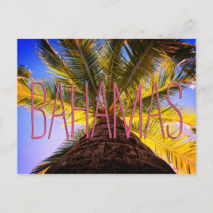 Bahamaanse boom briefkaart