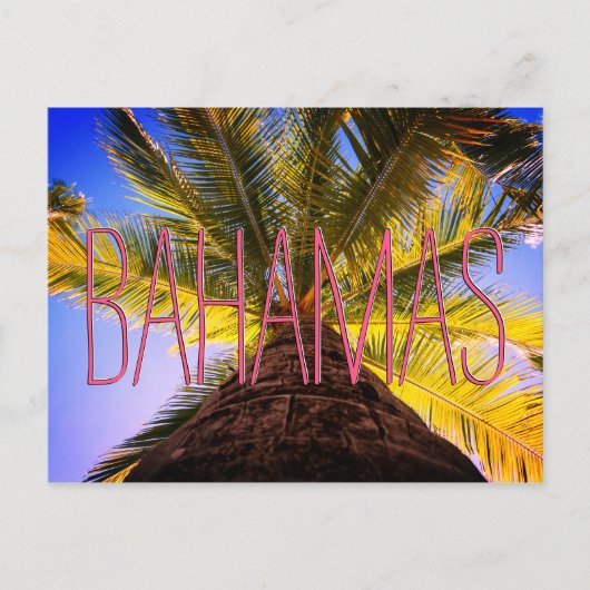 Bahamaanse boom briefkaart (Voorkant)