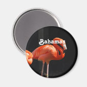 Bahamaanse flamingo magneet (Voorkant / Achterkant)