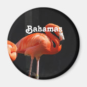Bahamaanse flamingo magneet (Voorkant)
