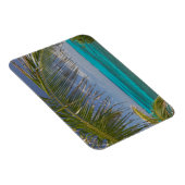 BAHAMAS, Abacos, Loyalist Cays, Man O'War Cay: Magneet (Rechterzijde)