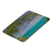 BAHAMAS, Abacos, Loyalist Cays, Man O'War Cay: Magneet (Linkerzijde)