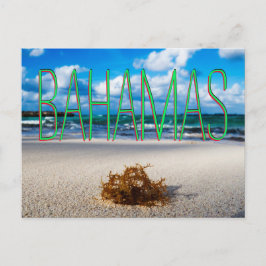 Bahamas Beach Close-up Briefkaart