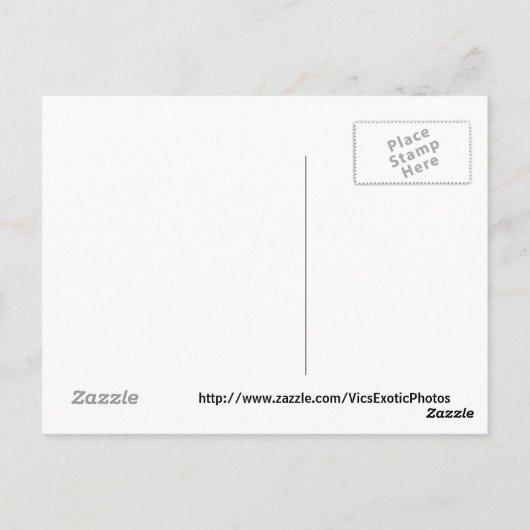 Bahamas Distress 3 Briefkaart (Achterkant)