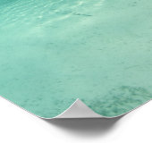 Bahama's, Grand Bahama-eiland, Freeport, Captive 6 Poster (Hoek)