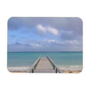 BAHAMAS, Grand Bahama Island, Eastern Side: Magneet