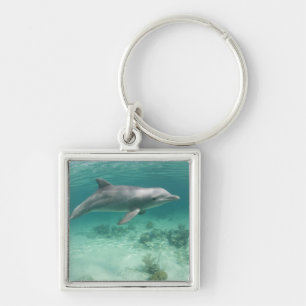 Bahama's, Grand Bahama Island, Freeport, Gevangene Sleutelhanger