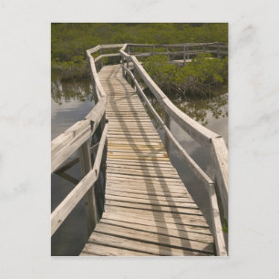 BAHAMAS, Grand Bahama Island, Oostkant: Briefkaart