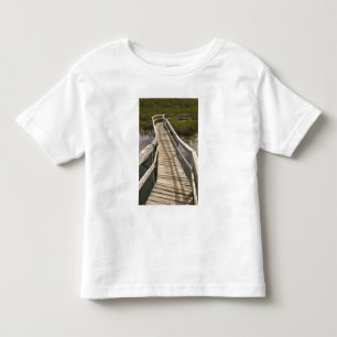 BAHAMAS, Grand Bahama Island, Oostkant: Kinder Shirts