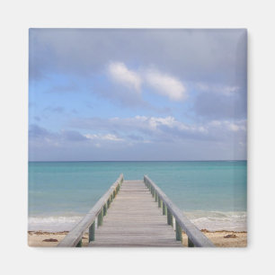 BAHAMAS, Grand Bahama Island, Oostkant: Magneet