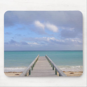 BAHAMAS, Grand Bahama Island, Oostkant: Muismat