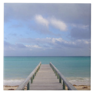 BAHAMAS, Grand Bahama Island, Oostkant: Tegeltje