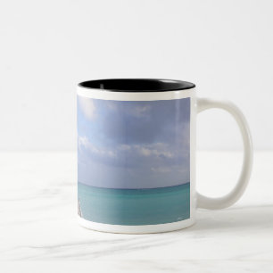 BAHAMAS, Grand Bahama Island, Oostkant: Tweekleurige Koffiemok