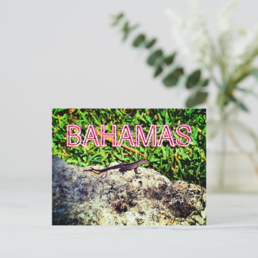 Bahamas Lizard Briefkaart (Staand voorkant)