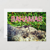 Bahamas Lizard Briefkaart (Voorkant / Achterkant)