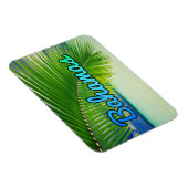 Bahamas Magneet (Rechterzijde)