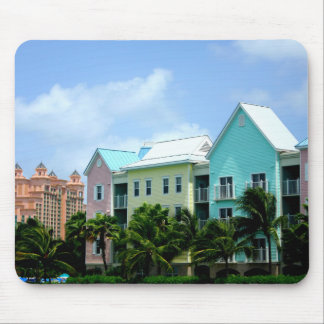 Bahamas Muismat