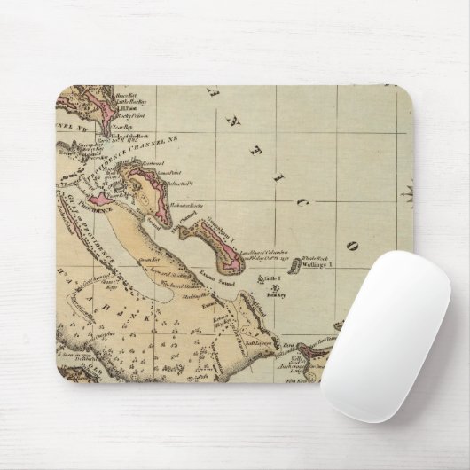 Bahamas Muismat (Met muis)