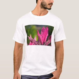 BAHAMAS, New Providence Island, Nassau: Paradijs T-shirt