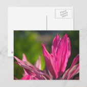 BAHAMAS, New Providence Island, Nassau: Paradise Briefkaart (Voorkant / Achterkant)