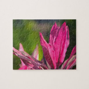 BAHAMAS, New Providence Island, Nassau: Paradise Legpuzzel