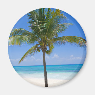 Bahamas Palm Magneet