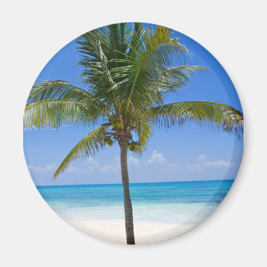 Bahamas Palm Magneet (Voorkant)
