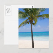 Bahamas Palm Tree Briefkaart (Voorkant / Achterkant)
