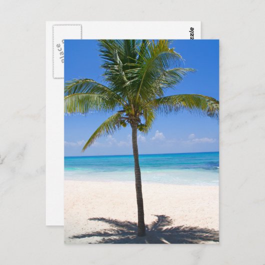 Bahamas Palm Tree Briefkaart (Voorkant / Achterkant)