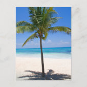 Bahamas Palm Tree Briefkaart (Voorkant)
