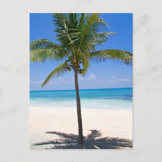 Bahamas Palm Tree Briefkaart (Voorkant)