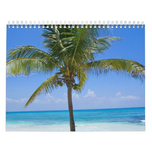 Bahamas Palm Tree Kalender (Hoes)