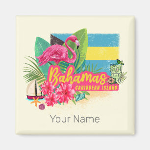 Bahamas retro caribisch eiland flamingo vintage magneet
