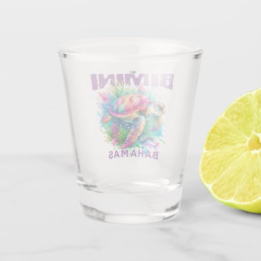 Bahamas Souvenir Gift: Bimini Bahamas Zee Schildpa Shot Glas (Achterkant)
