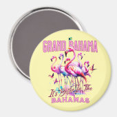 Bahamas Souvenir Gift: Grand Bahama Flamingo Bird Magneet (Voorkant / Achterkant)