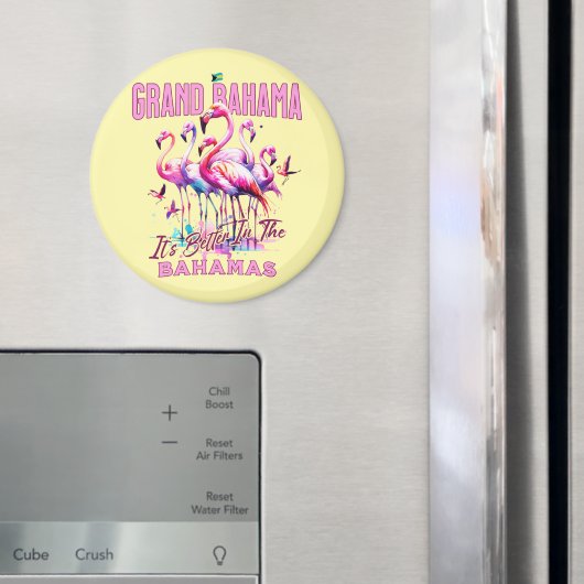 Bahamas Souvenir Gift: Grand Bahama Flamingo Bird Magneet (Insitu (Koelkast))