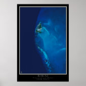 Bahama's van het eiland Bimini van de ruimtesatell Poster (Voorkant)