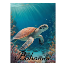 Bahamas Zeeschildpad Reisposter