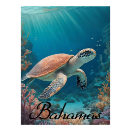 Bahamas Zeeschildpad Reisposter Perfect Poster