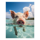 Bahama's Zwembad Foto Afdruk (Voorkant)