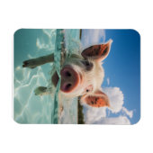 Bahama's Zwembad Magneet (Horizontaal)