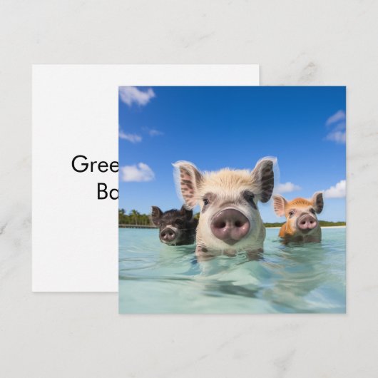 Bahamas Zwemvarken 2024 Feestdagenkaart (Voorkant / Achterkant)