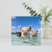 Bahamas Zwemvarken 2024 Feestdagenkaart (Staand voorkant)